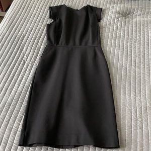 J Crew Resume Dress